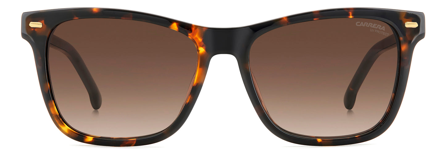CARRERA 3001/S_086HA