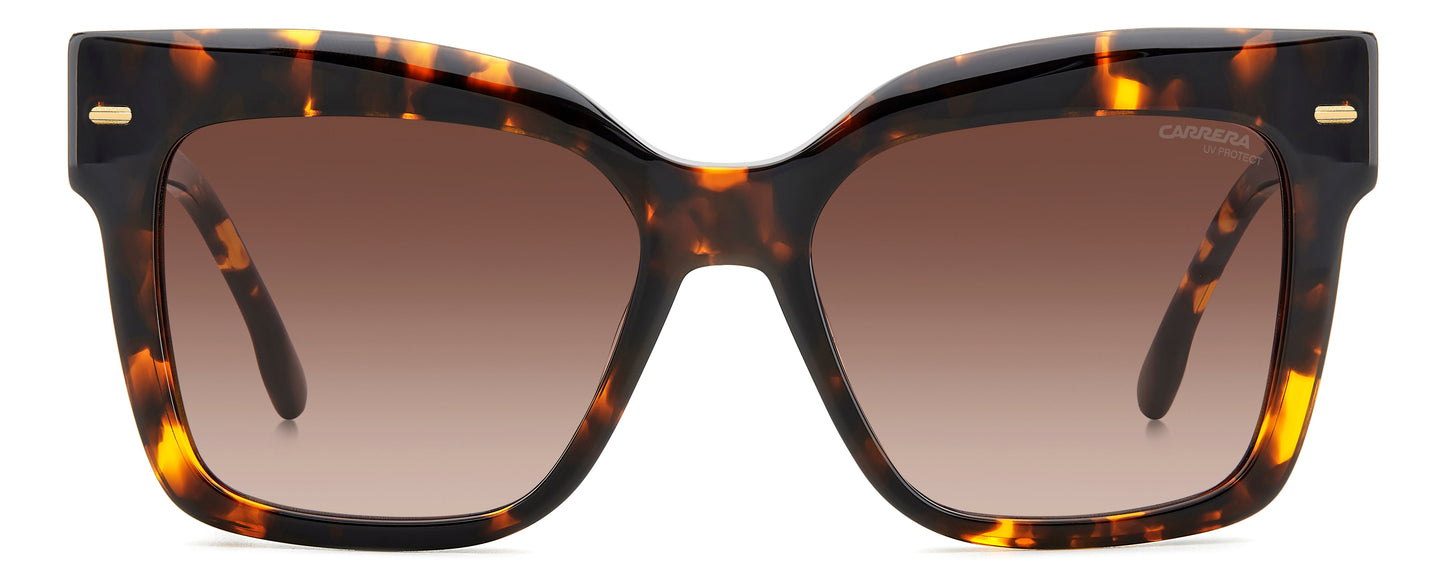CARRERA 3037/S_086HA